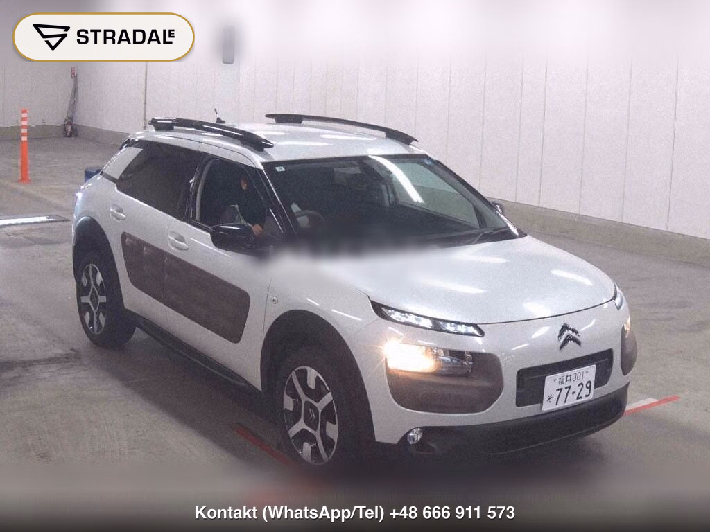 CITROEN C4 CACTUS BASE GRADE, miniaturka 2