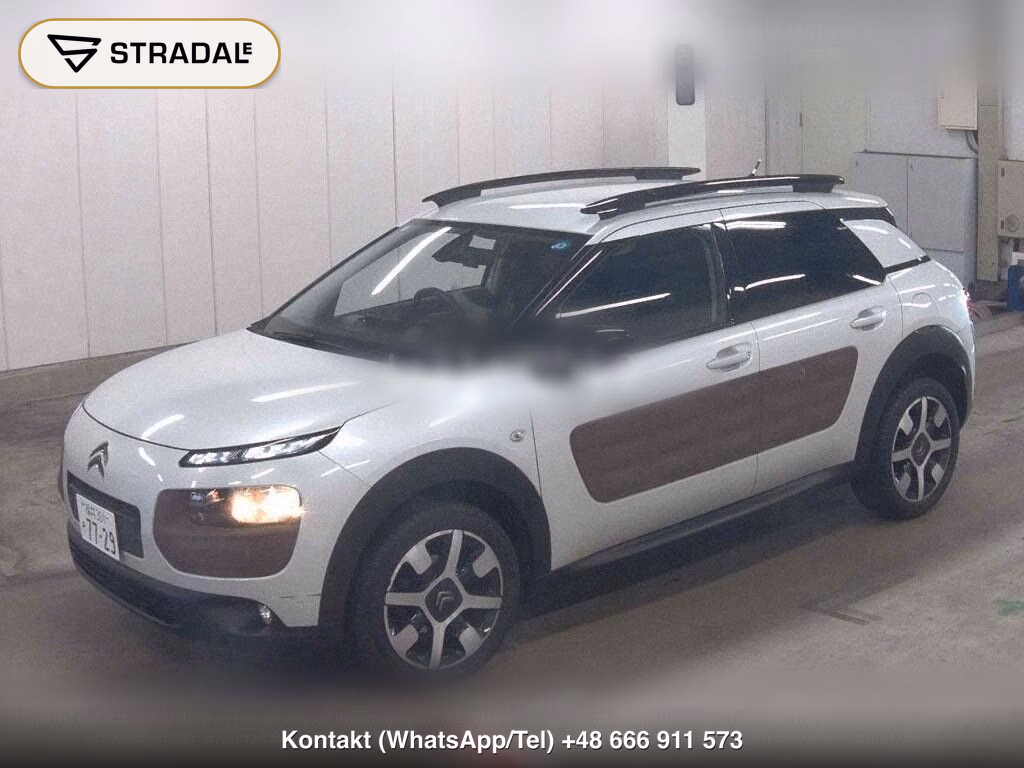 CITROEN C4 CACTUS BASE GRADE, miniaturka 5