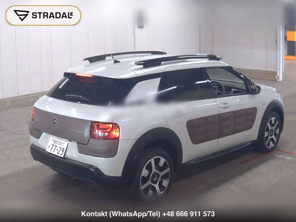 CITROEN C4 CACTUS BASE GRADE, miniaturka 6