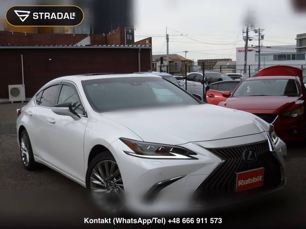 LEXUS ES ES300H VERSION L, miniaturka 10