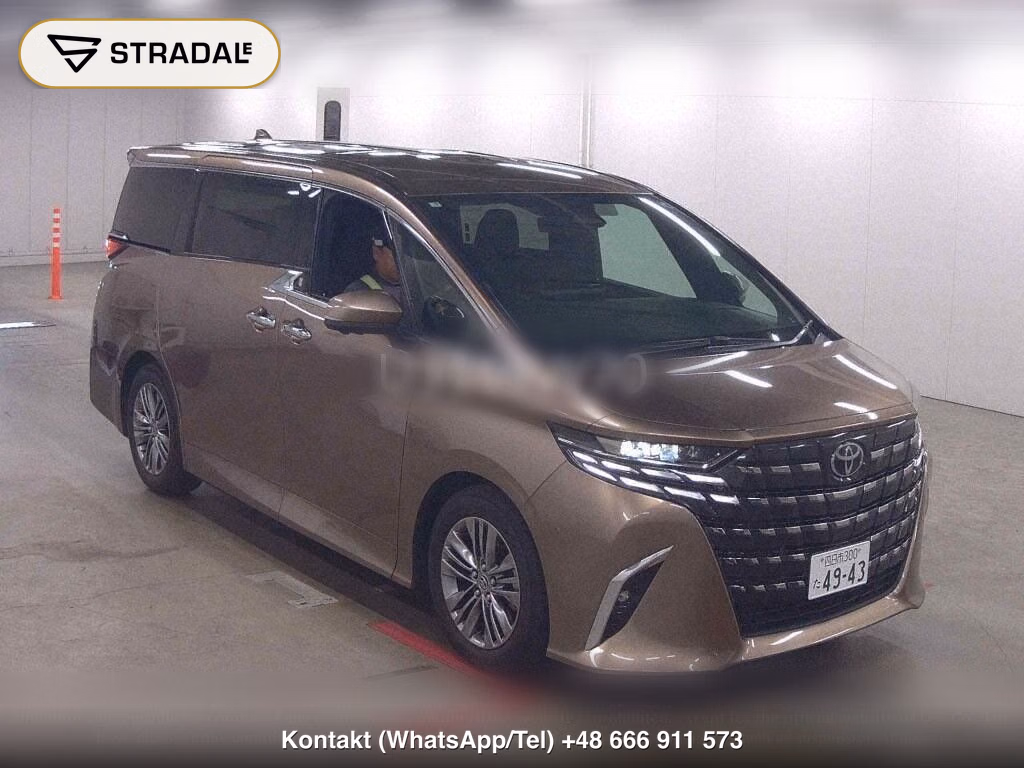 TOYOTA ALPHARD Z, miniaturka 2