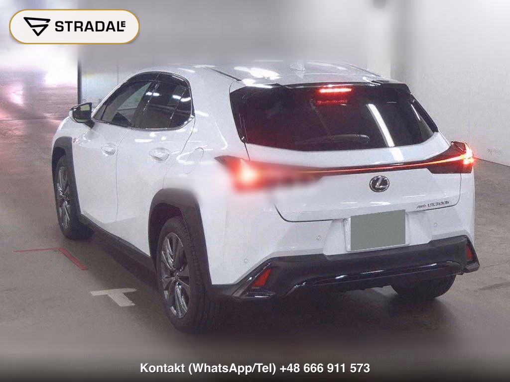 LEXUS UX 4WD UX300H F SPORT, miniaturka 3