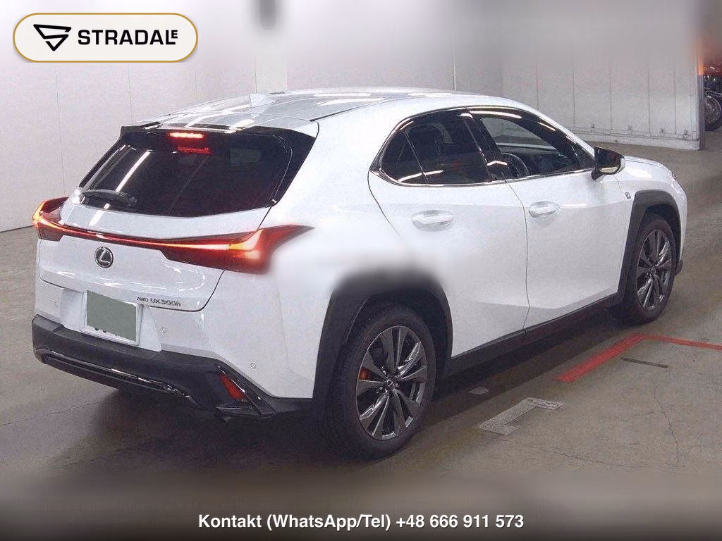 LEXUS UX 4WD UX300H F SPORT, miniaturka 6