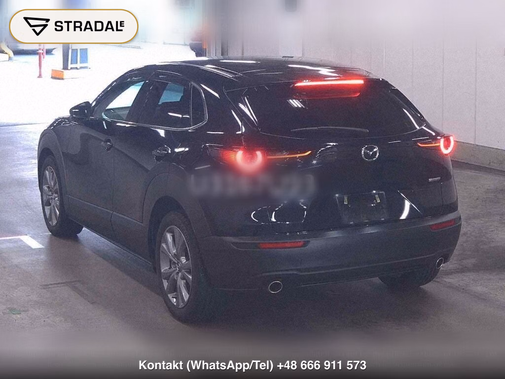 MAZDA CX-30 20S PROACTIVE TOURING SELECTION, miniaturka 3