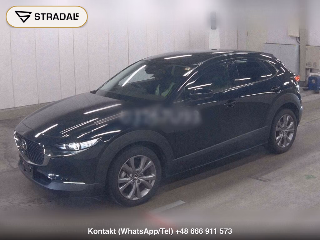 MAZDA CX-30 20S PROACTIVE TOURING SELECTION, miniaturka 5