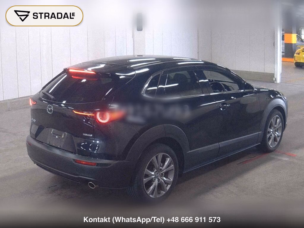 MAZDA CX-30 20S PROACTIVE TOURING SELECTION, miniaturka 6
