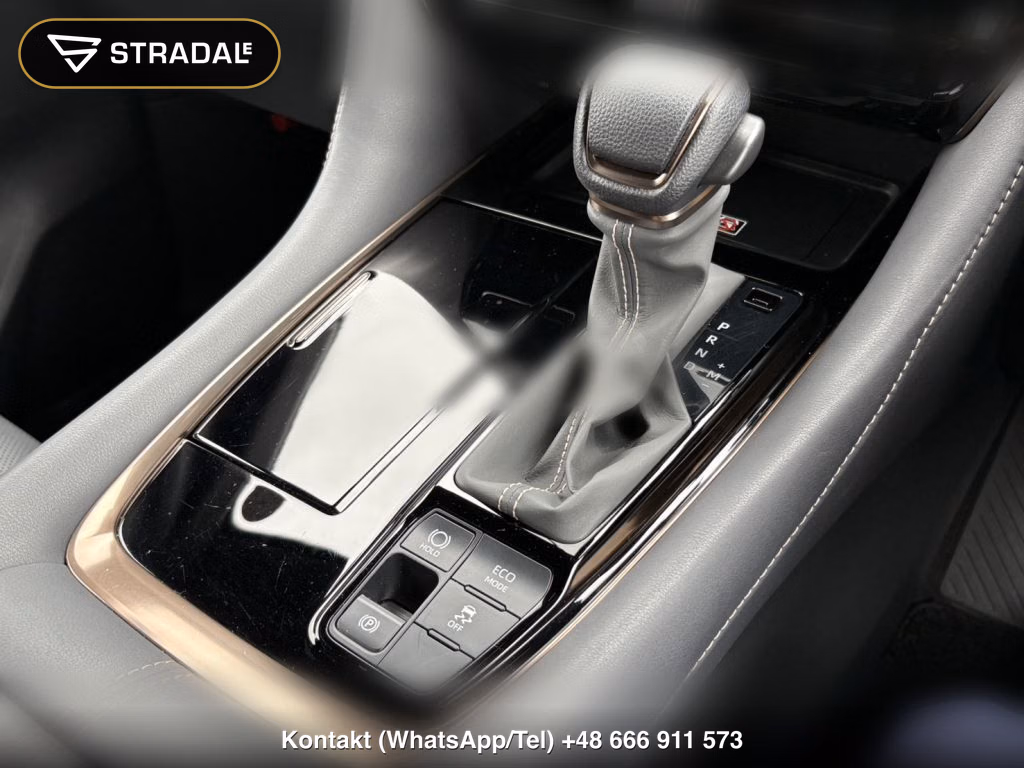 TOYOTA ALPHARD Z, miniaturka 12