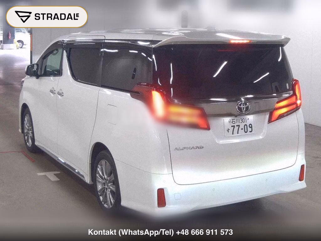 TOYOTA ALPHARD S TYPE GOLDⅢ, miniaturka 3