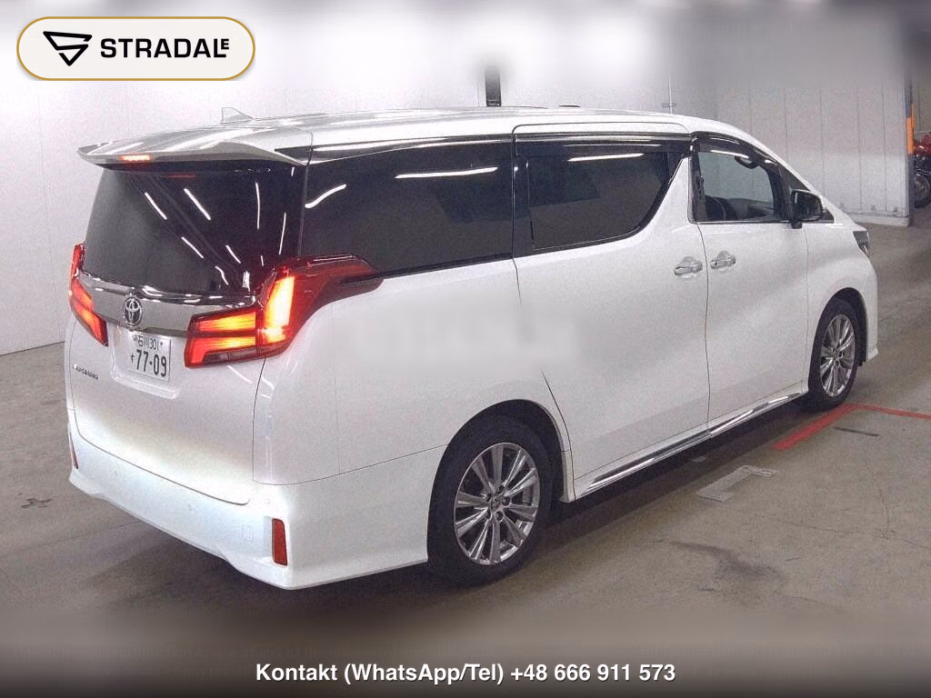 TOYOTA ALPHARD S TYPE GOLDⅢ, miniaturka 6