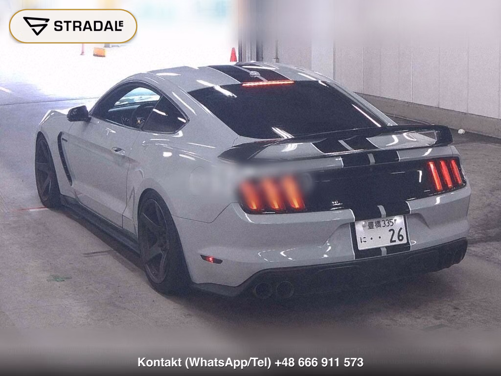 FORD MUSTANG CP SHELBY GT350, miniaturka 3