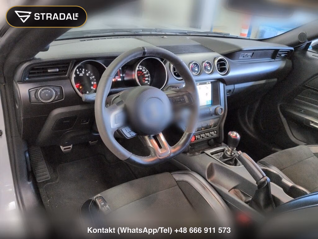 FORD MUSTANG CP SHELBY GT350, miniaturka 4