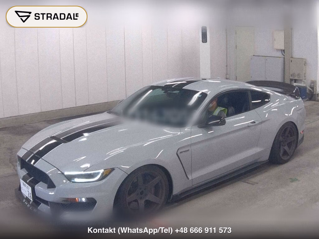 FORD MUSTANG CP SHELBY GT350, miniaturka 5