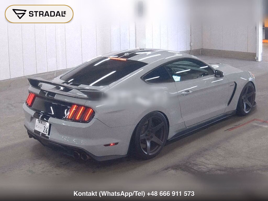 FORD MUSTANG CP SHELBY GT350, miniaturka 6