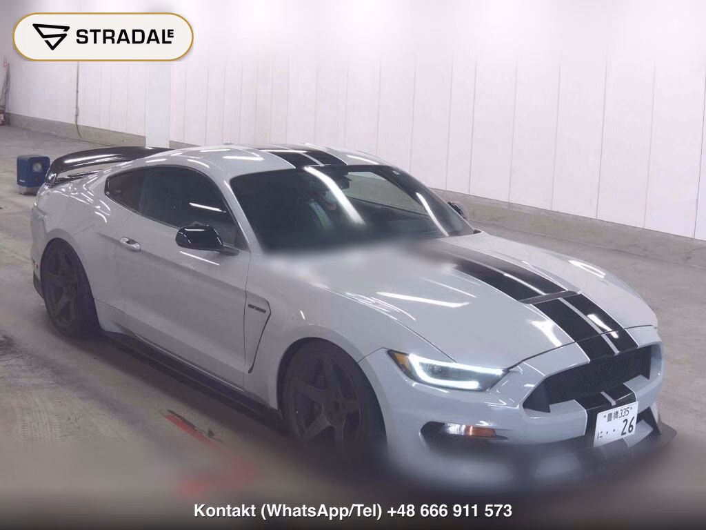 FORD MUSTANG CP SHELBY GT350 2019, aukcja z Japonii, zdjęcie 1