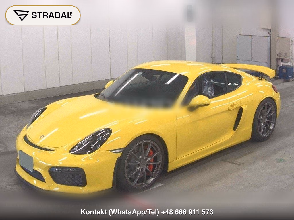 PORSCHE CAYMAN GT4, miniaturka 5
