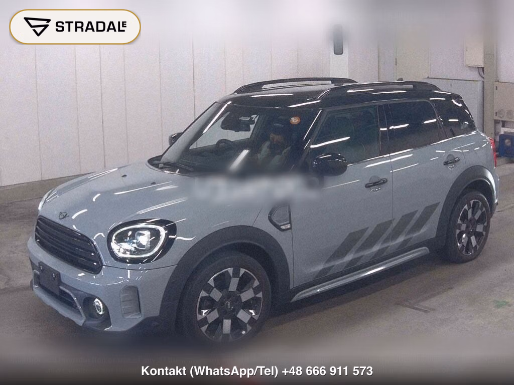 MINI MINI 5D COOPER D CROSSOVER UNTAMED EDITION, miniaturka 5