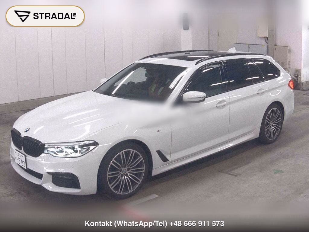 BMW 5 SERIES WG 530I TOURING M-SPORT, miniaturka 5