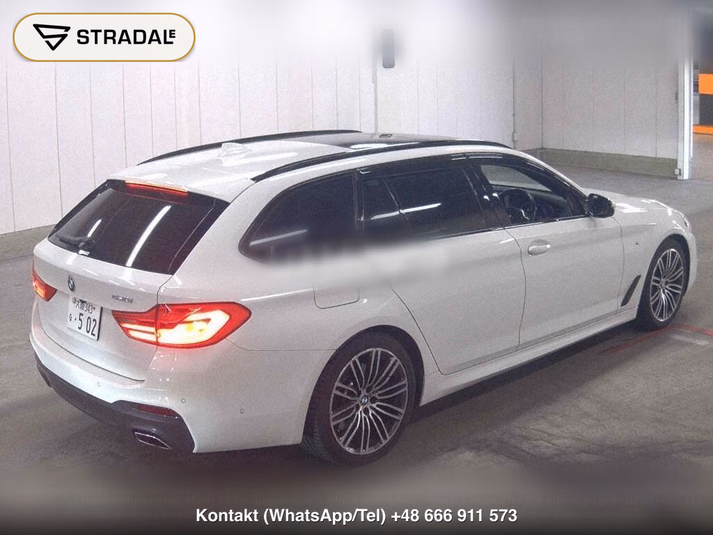 BMW 5 SERIES WG 530I TOURING M-SPORT, miniaturka 6