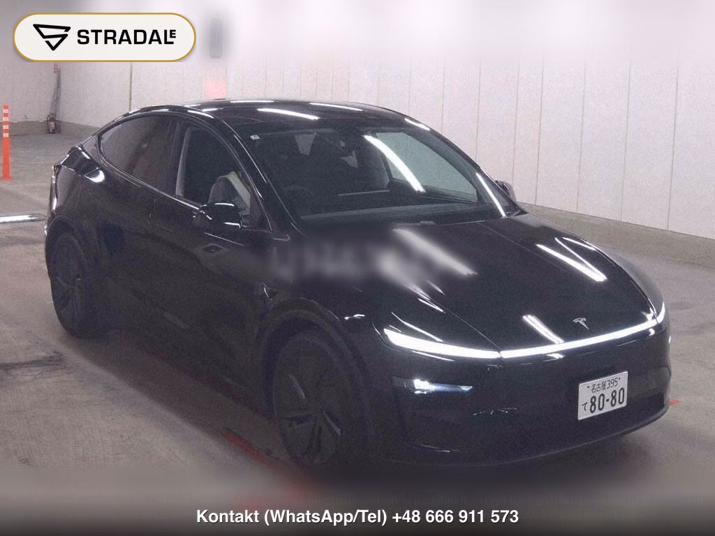 TESLA MODEL Y 4WD LONG RANGE, miniaturka 2