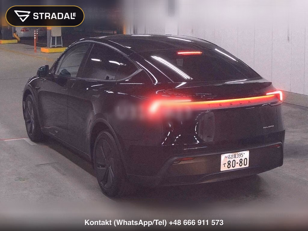 TESLA MODEL Y 4WD LONG RANGE, miniaturka 3