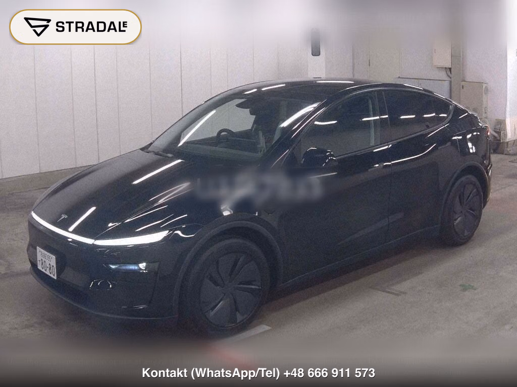 TESLA MODEL Y 4WD LONG RANGE, miniaturka 5