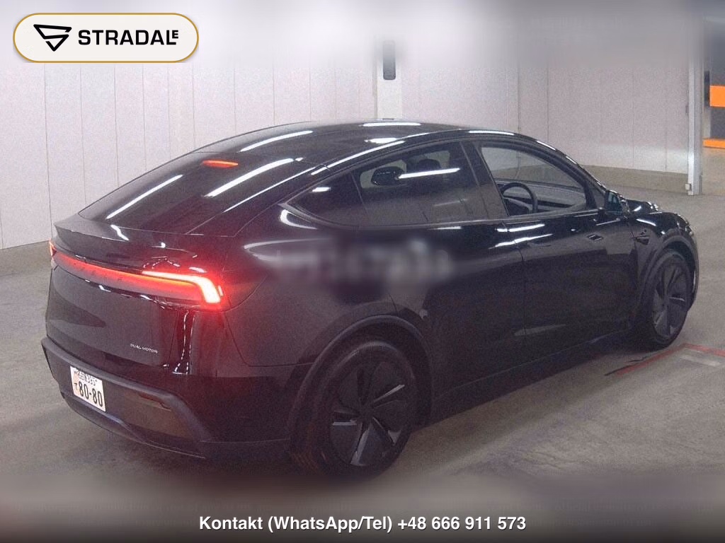 TESLA MODEL Y 4WD LONG RANGE, miniaturka 6
