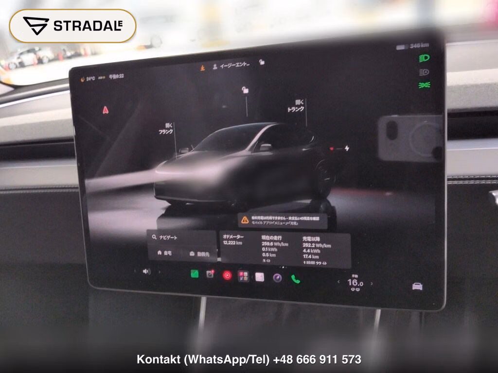 TESLA MODEL Y 4WD LONG RANGE, miniaturka 7
