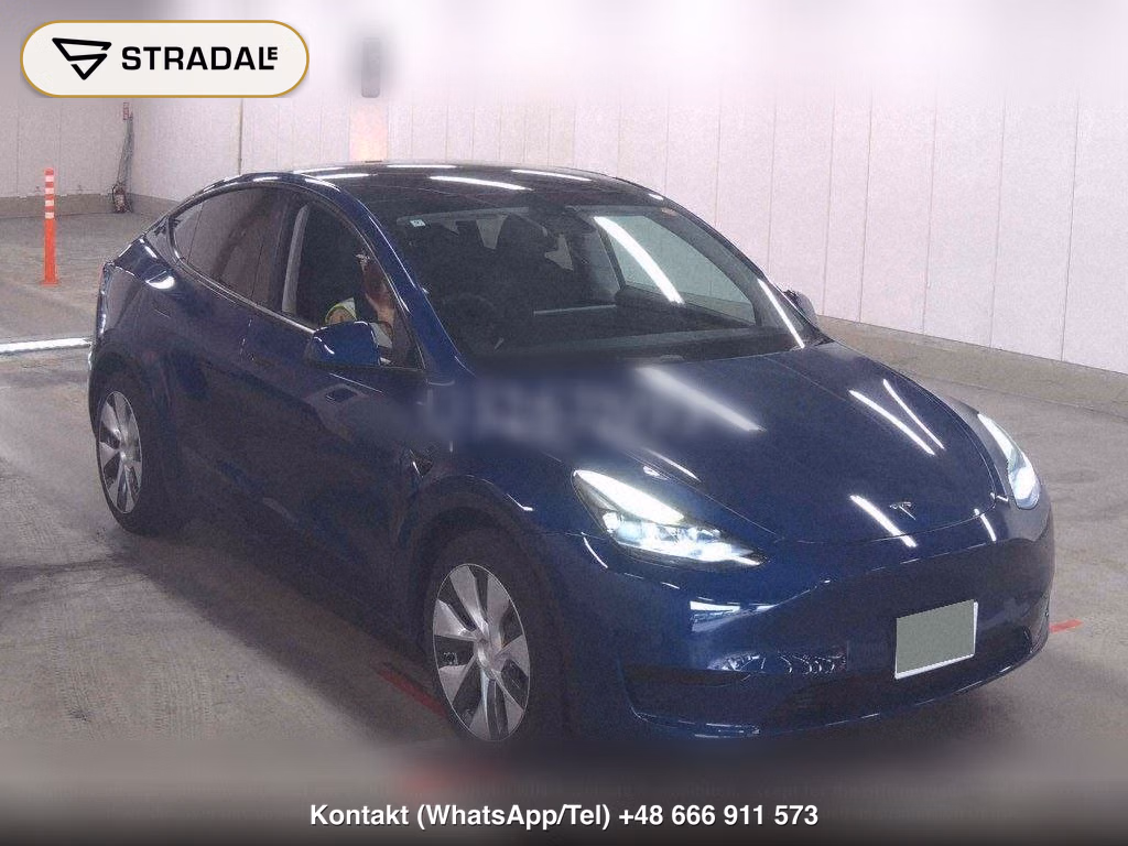 TESLA MODEL Y RWD, miniaturka 2