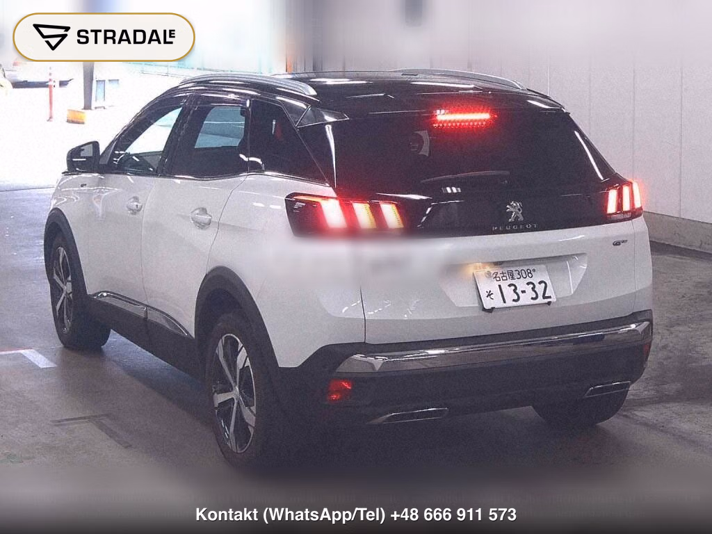 PEUGEOT 3008 OTHERS, miniaturka 3