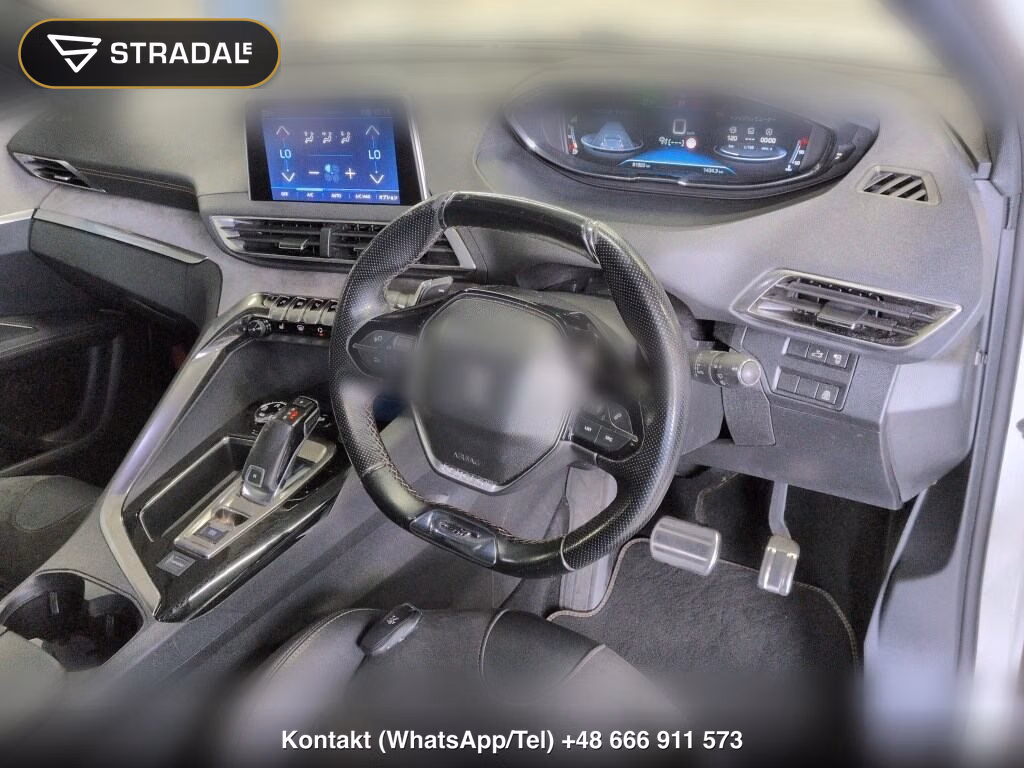 PEUGEOT 3008 OTHERS, miniaturka 4