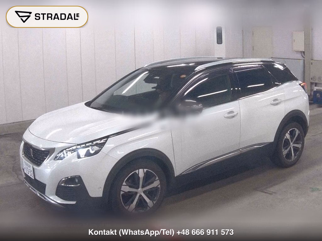 PEUGEOT 3008 OTHERS, miniaturka 5