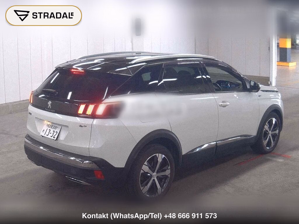 PEUGEOT 3008 OTHERS, miniaturka 6