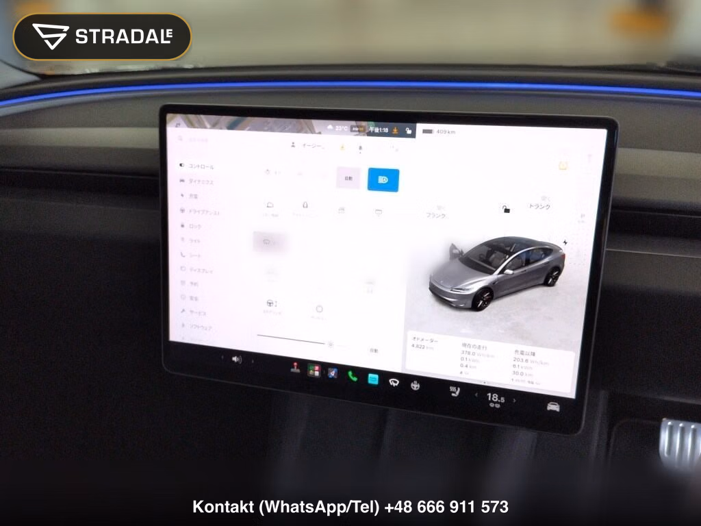 TESLA MODEL 3 4WD PERFORMANCE, miniaturka 7