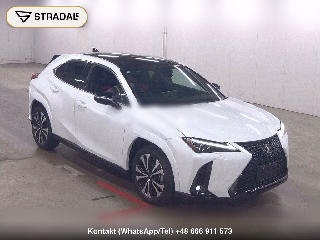 LEXUS UX UX250H F SPORT EMOTIONAL EXPLORER, miniaturka 2