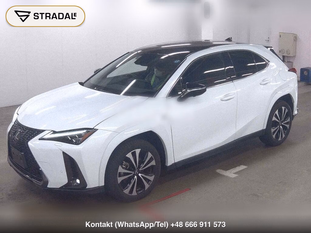 LEXUS UX UX250H F SPORT EMOTIONAL EXPLORER, miniaturka 5