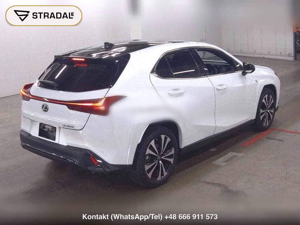 LEXUS UX UX250H F SPORT EMOTIONAL EXPLORER, miniaturka 6