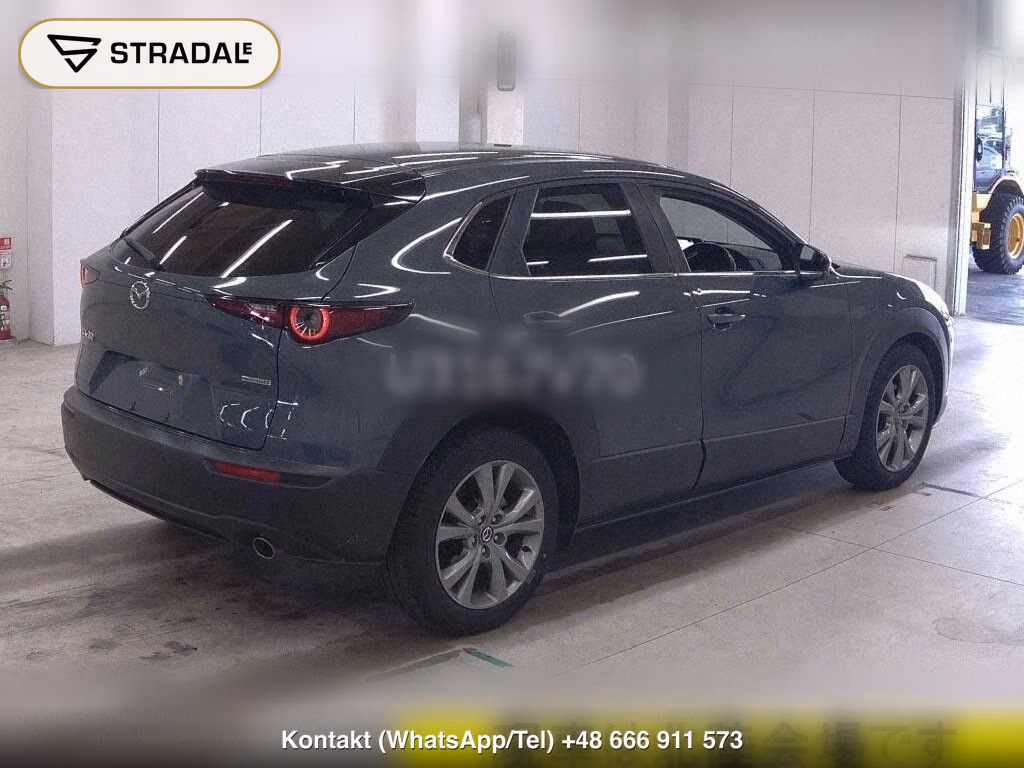 MAZDA CX-30 20S, miniaturka 6