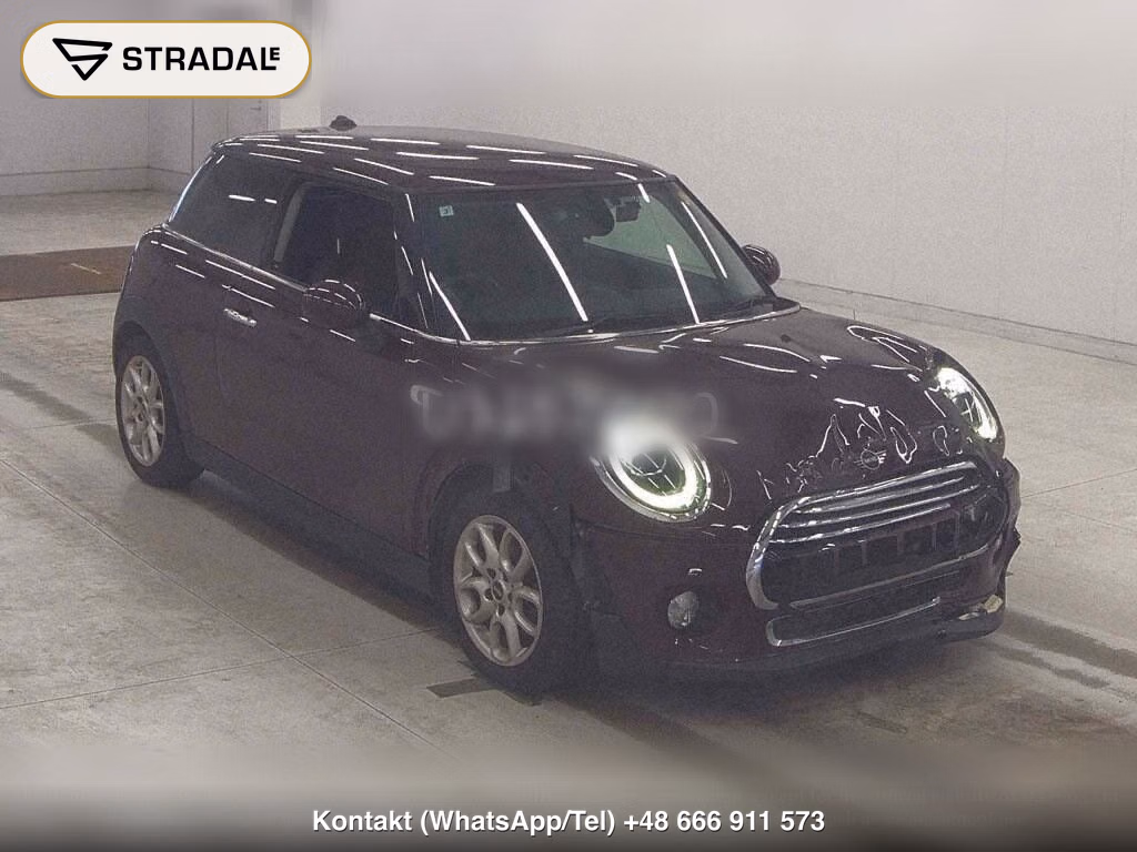 MINI MINI 3D, miniaturka 2