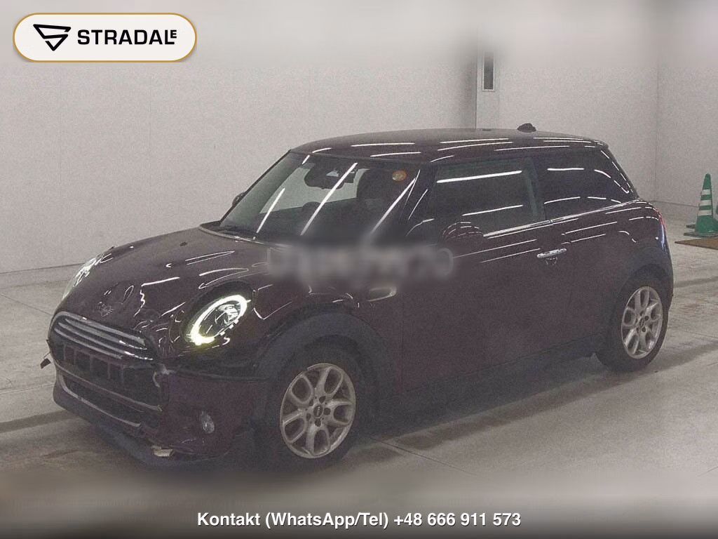 MINI MINI 3D, miniaturka 5