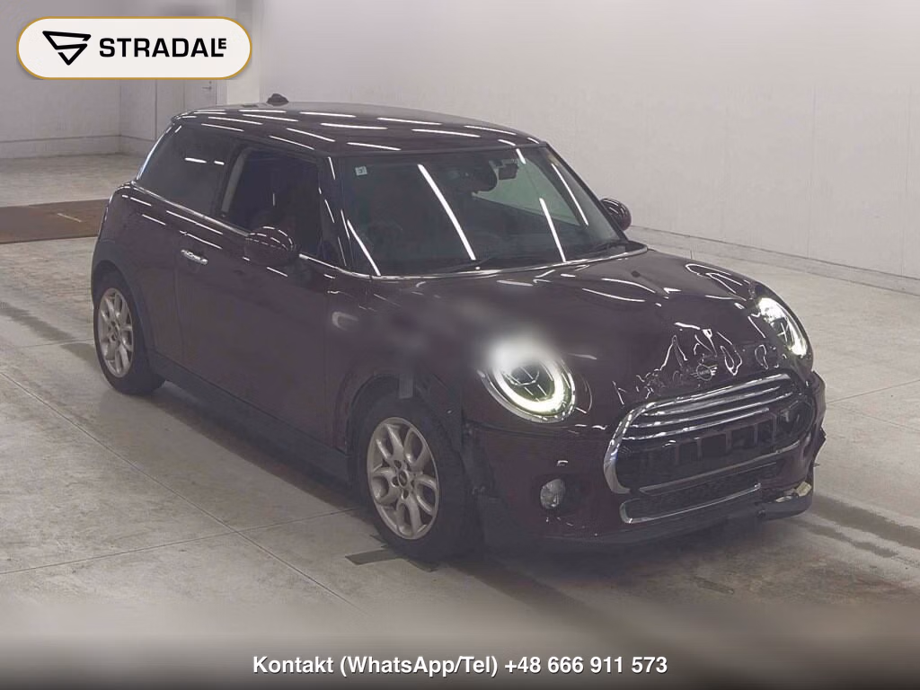 MINI MINI 3D 2019, aukcja z Japonii, zdjęcie 1