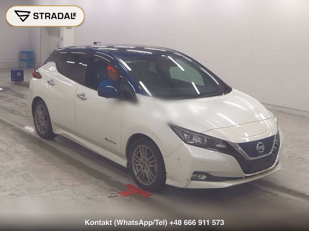 NISSAN LEAF G 2019, aukcja z Japonii, zdjęcie 1