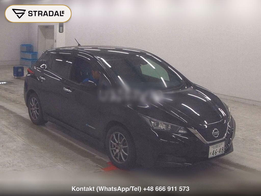 NISSAN LEAF X 10 THOUSAND UNITS MEMORIAL CAR, miniaturka 2