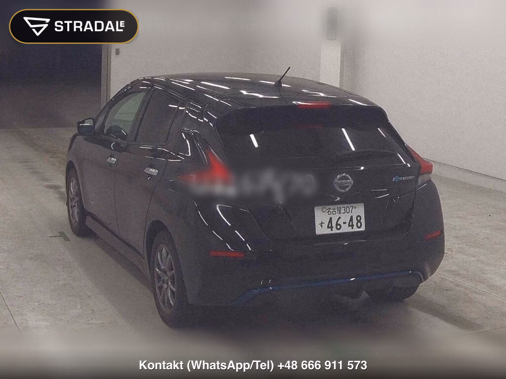 NISSAN LEAF X 10 THOUSAND UNITS MEMORIAL CAR, miniaturka 3