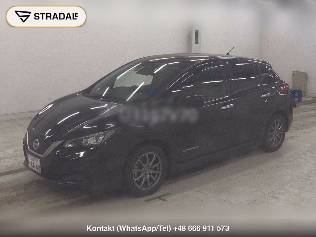 NISSAN LEAF X 10 THOUSAND UNITS MEMORIAL CAR, miniaturka 5