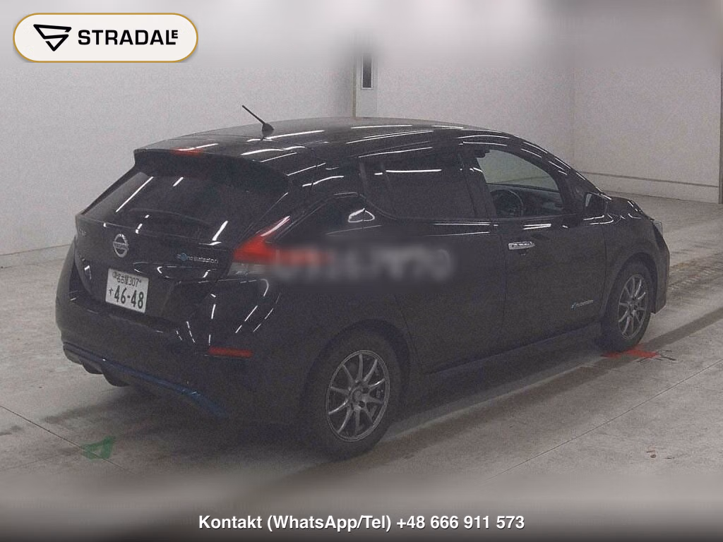 NISSAN LEAF X 10 THOUSAND UNITS MEMORIAL CAR, miniaturka 6