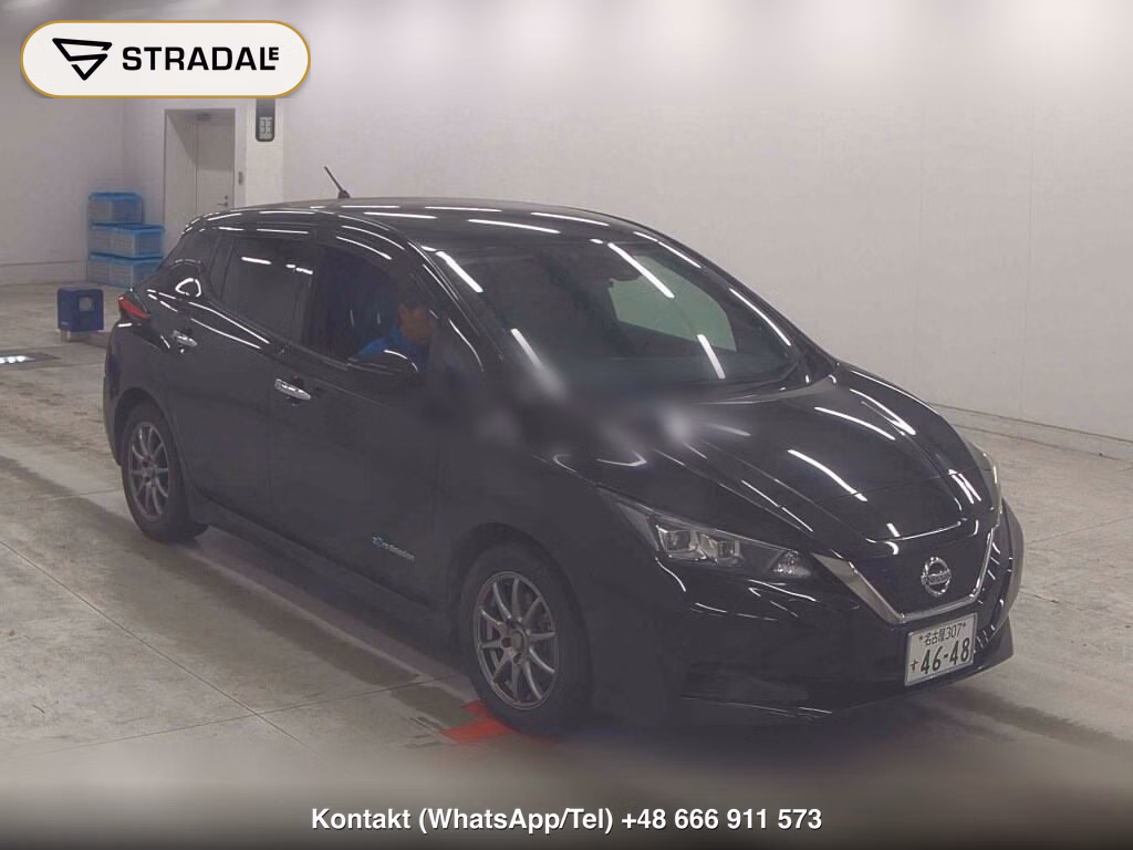 NISSAN LEAF X 10 THOUSAND UNITS MEMORIAL CAR 2019, aukcja z Japonii, zdjęcie 1