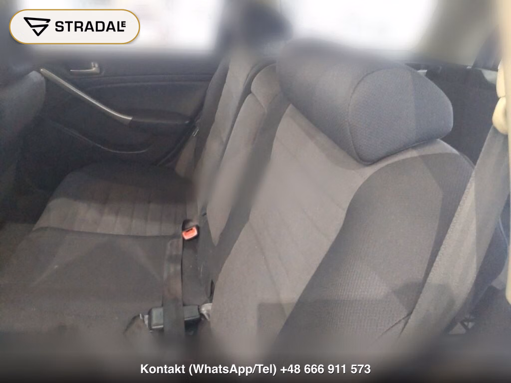 NISSAN STAGEA WG 250RS, miniaturka 7