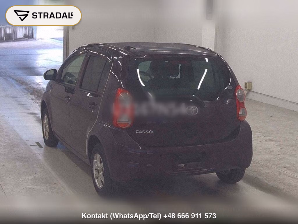 TOYOTA PASSO X YURURI, miniaturka 3