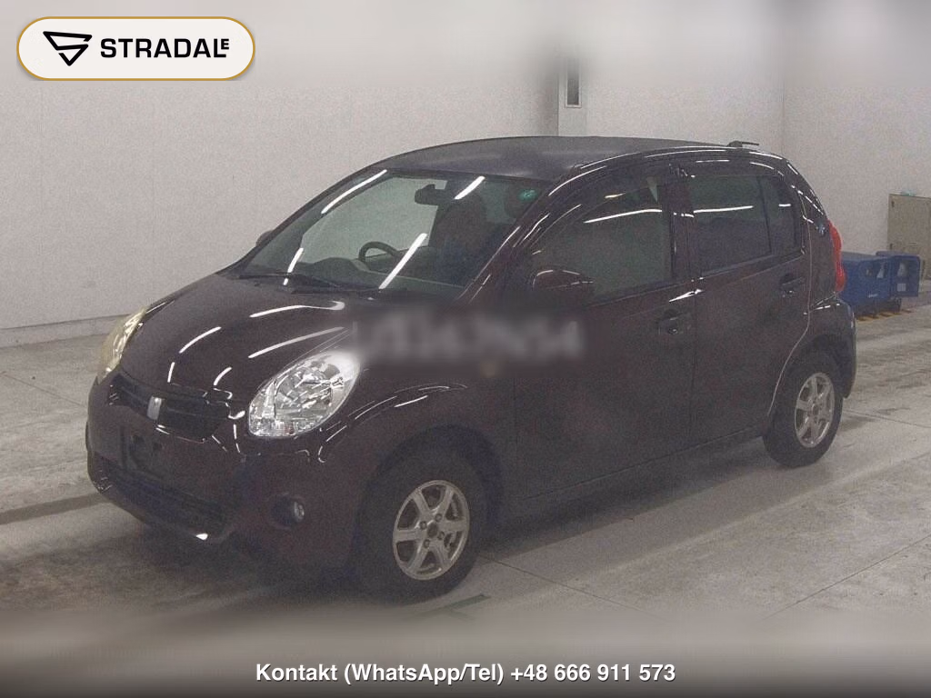 TOYOTA PASSO X YURURI, miniaturka 5