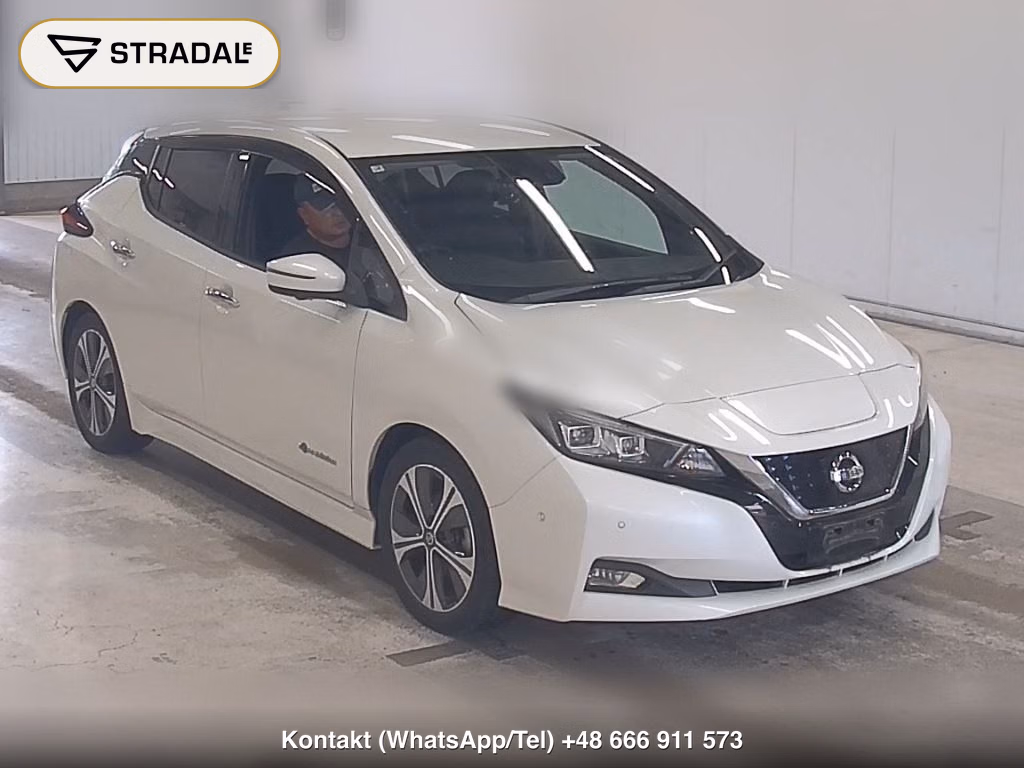 NISSAN LEAF G 2019, aukcja z Japonii, zdjęcie 1